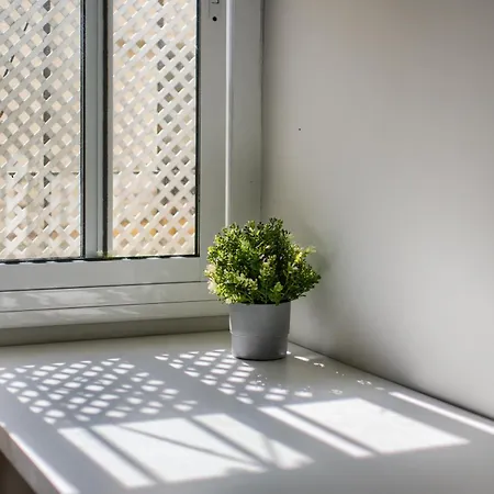 Luz De * Cádiz